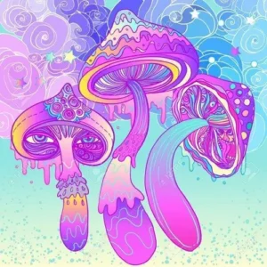 Hippie Flip (2 LSD tabs + 3.5g Dried Mushrooms)